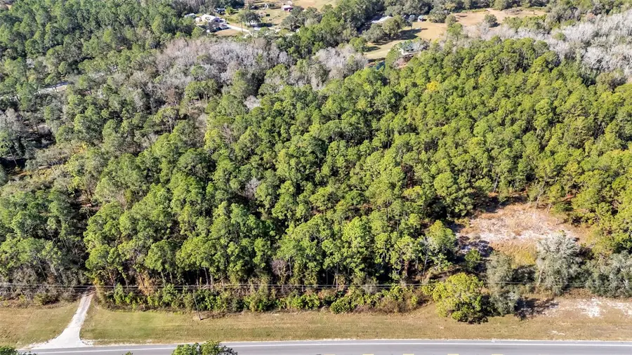 Commonwealth Avenue N, Polk City, FL 33868 - #2