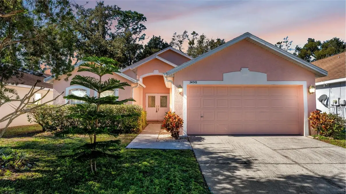 34501 Smart Drive, Zephyrhills, FL 33541 - Image #1