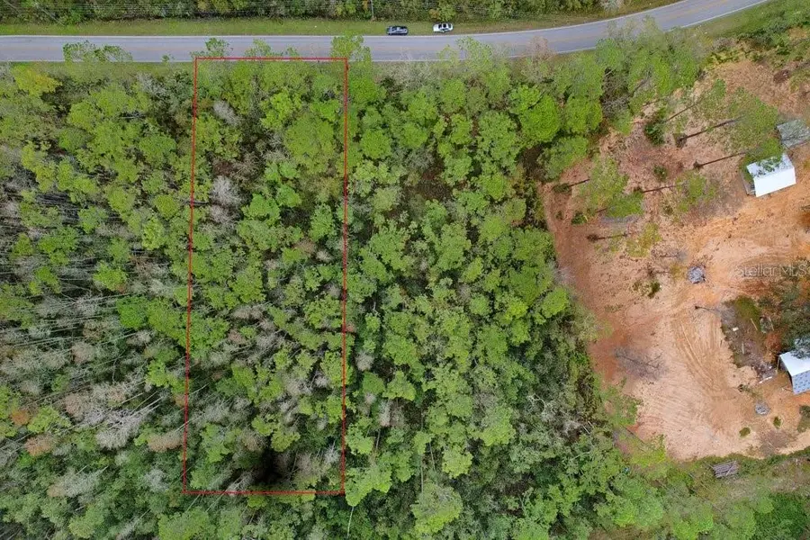 Poyner Road, Polk City, FL 33868 - #3