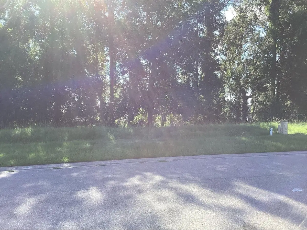 4589 Majestic Hills Loop, Brooksville, FL 34601 - Image #1