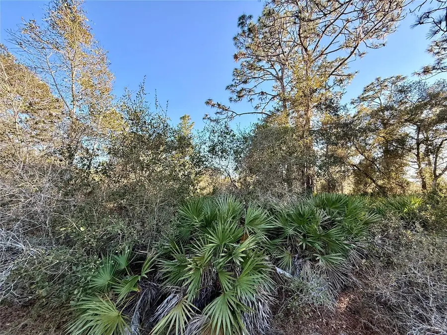 903 Hibiscus Drive, Indian Lake Estates, FL 33855 - Image #2