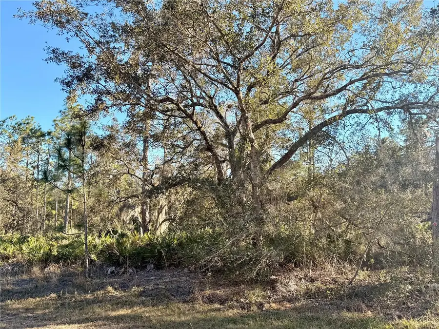 711 Pandora Drive, Indian Lake Estates, FL 33855 - Image #3