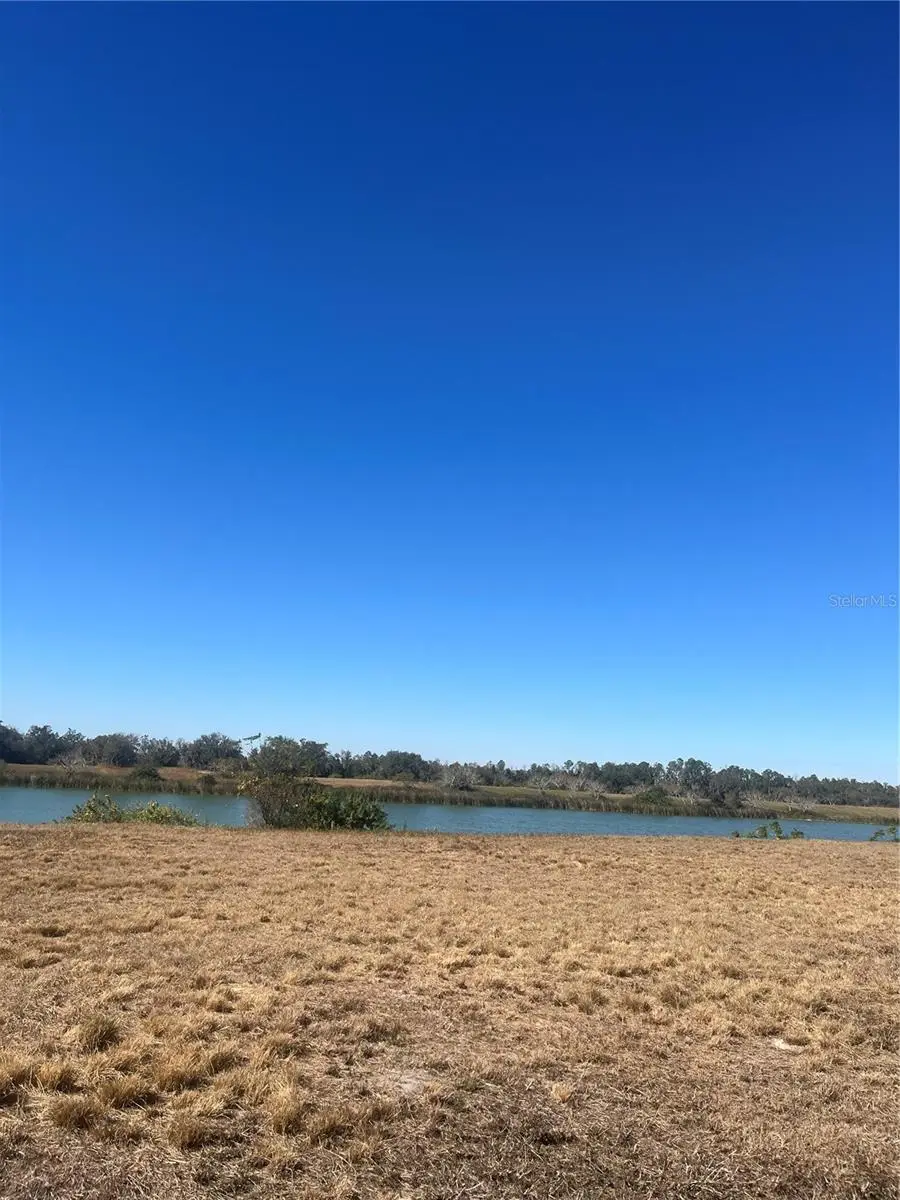 10349 County Road 555, Fort Meade, FL 33841 - #2