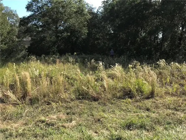 Sw 141st Ct, OCALA, FL 34481