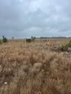 1137 Hopkins Lane, Zolfo Springs, FL 33890 - #1