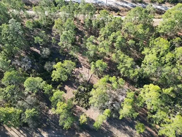 705 Laguna Drive, Indian Lake Estates, FL 33855 - #3