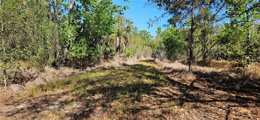 6336 Timberlane Road, Lake Wales, FL 33898 - #3