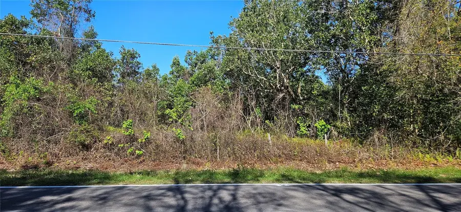 Timberlane Road, Lake Wales, FL 33898 - #3