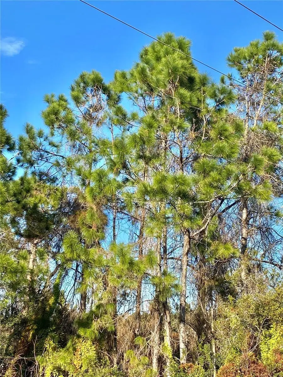 6070 E Arbuckle Road, Avon Park, FL 33825 - #2