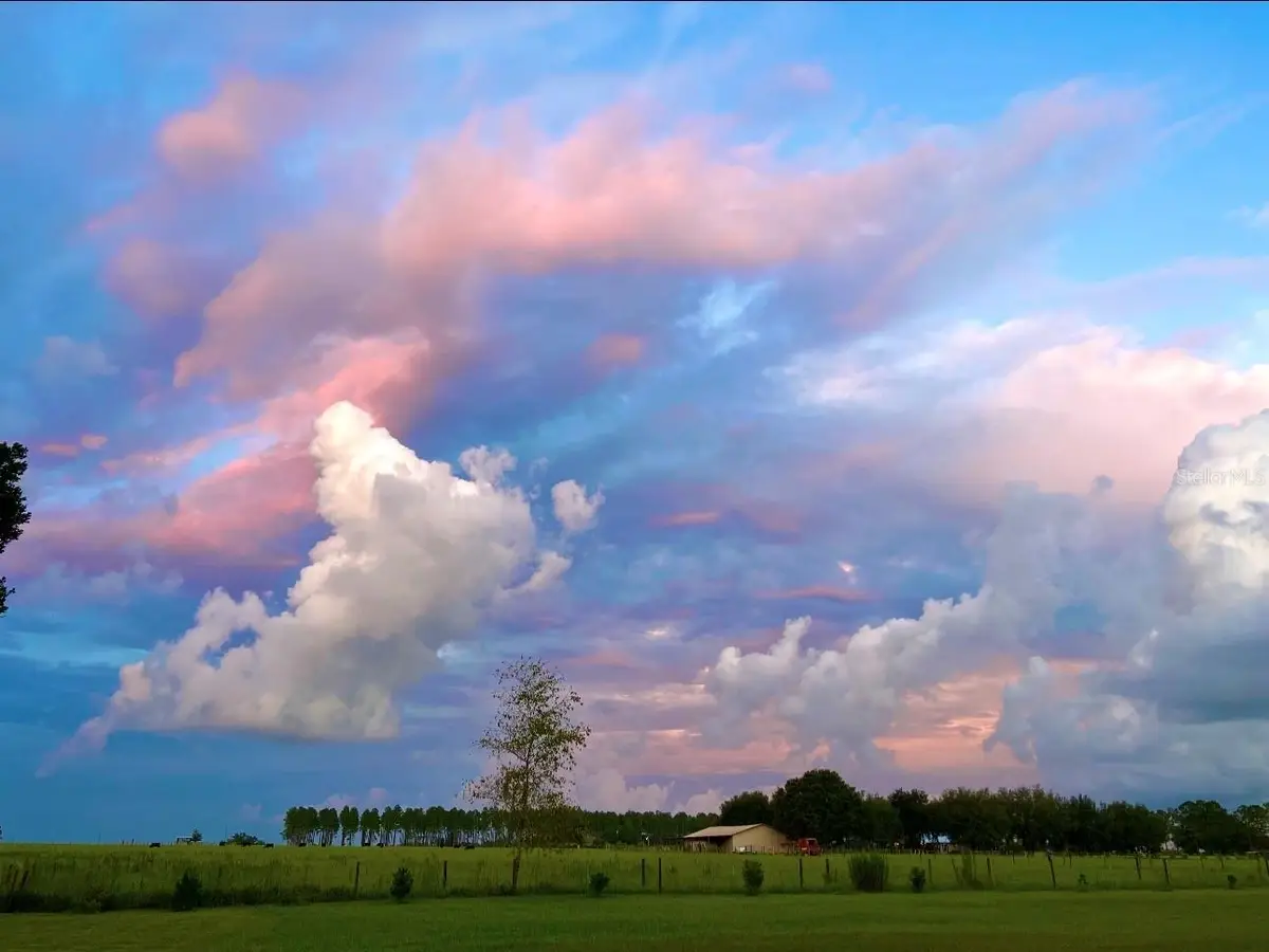 15300 Lake Iola Road, Dade City, FL 33523 - #1