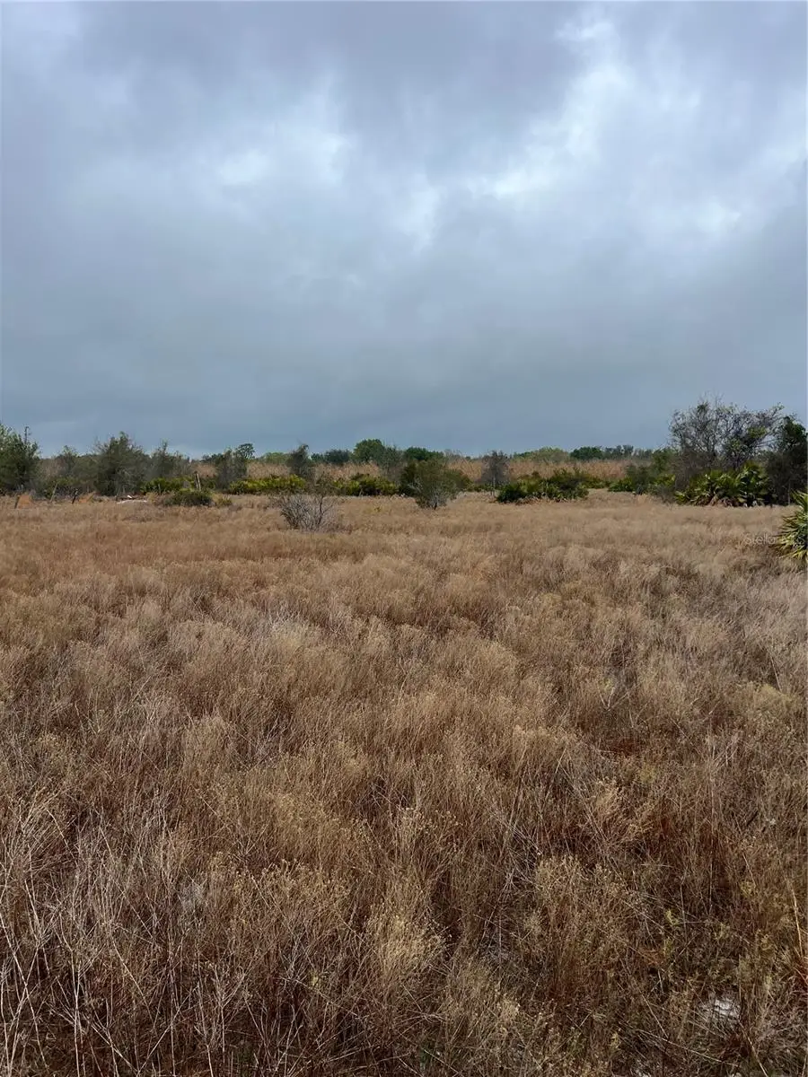 1137 Hopkins Lane, Zolfo Springs, FL 33890 - #3