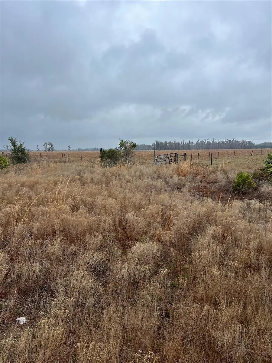 1137 Hopkins Lane, Zolfo Springs, FL 33890 - #2