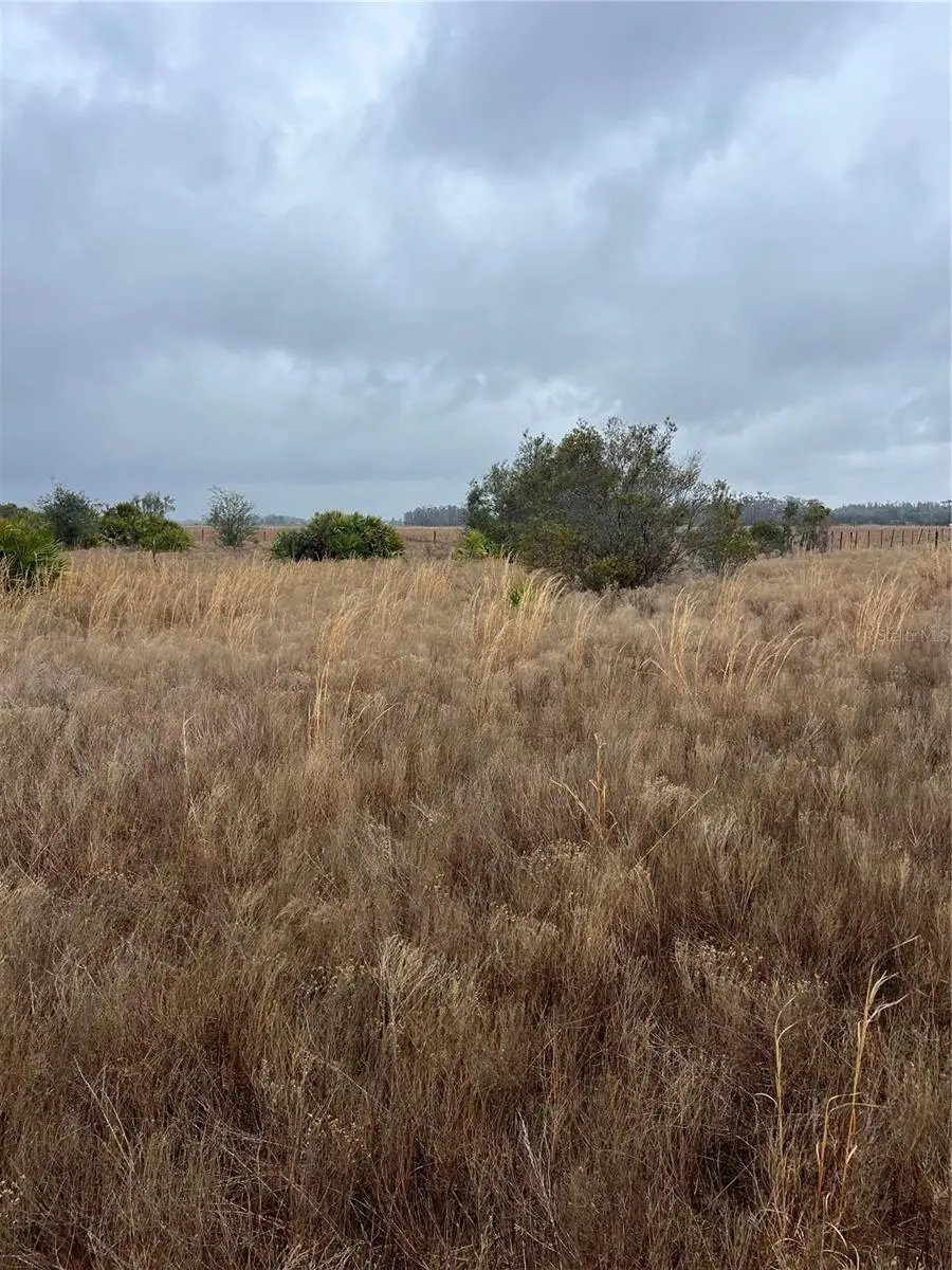 1137 Hopkins Lane, Zolfo Springs, FL 33890 - #3