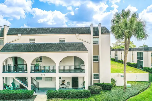 709 Russell Lane #222, BRANDON, FL 33510