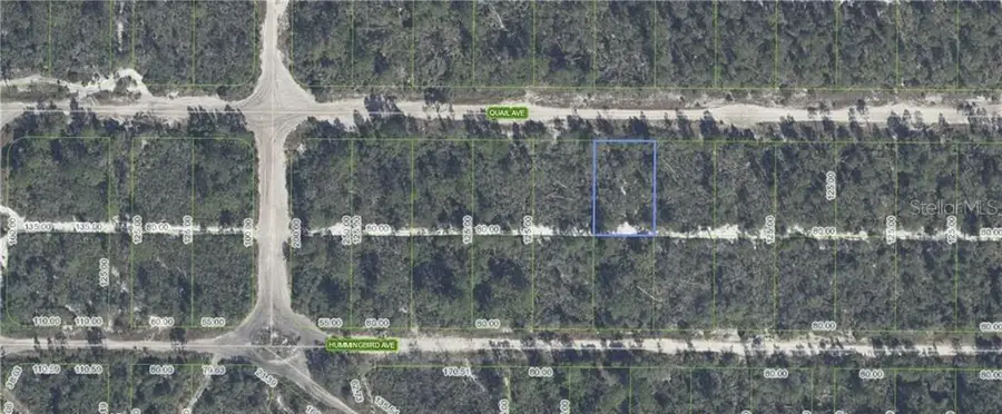 637 Quail Avenue, Sebring, FL 33872 - #3