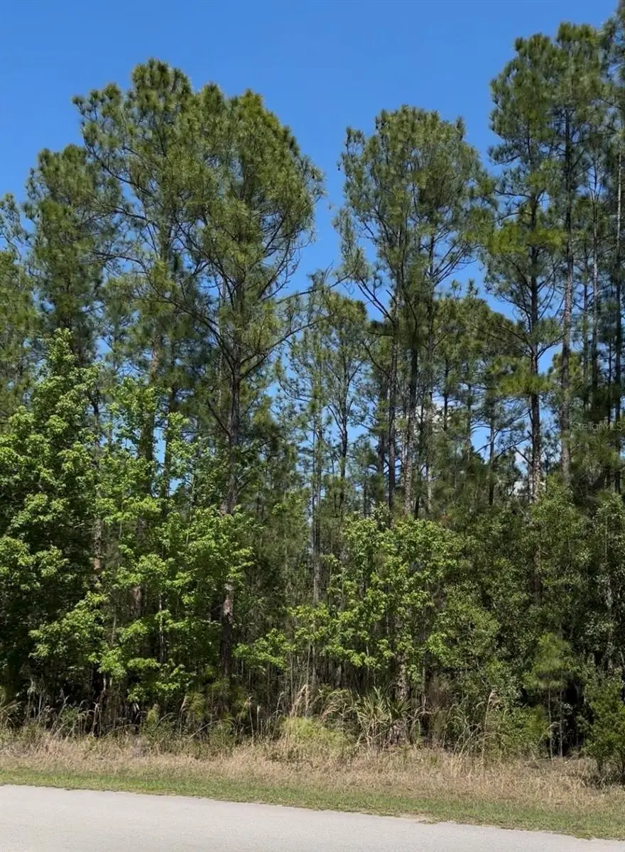 510 Hidden Palms Drive, Davenport, FL 33897 - #3