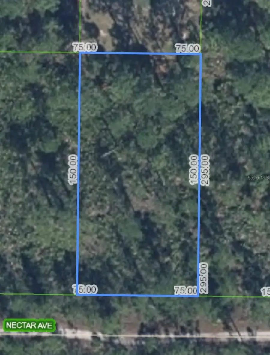 1702 Nectar Avenue, Sebring, FL 33875 - #3