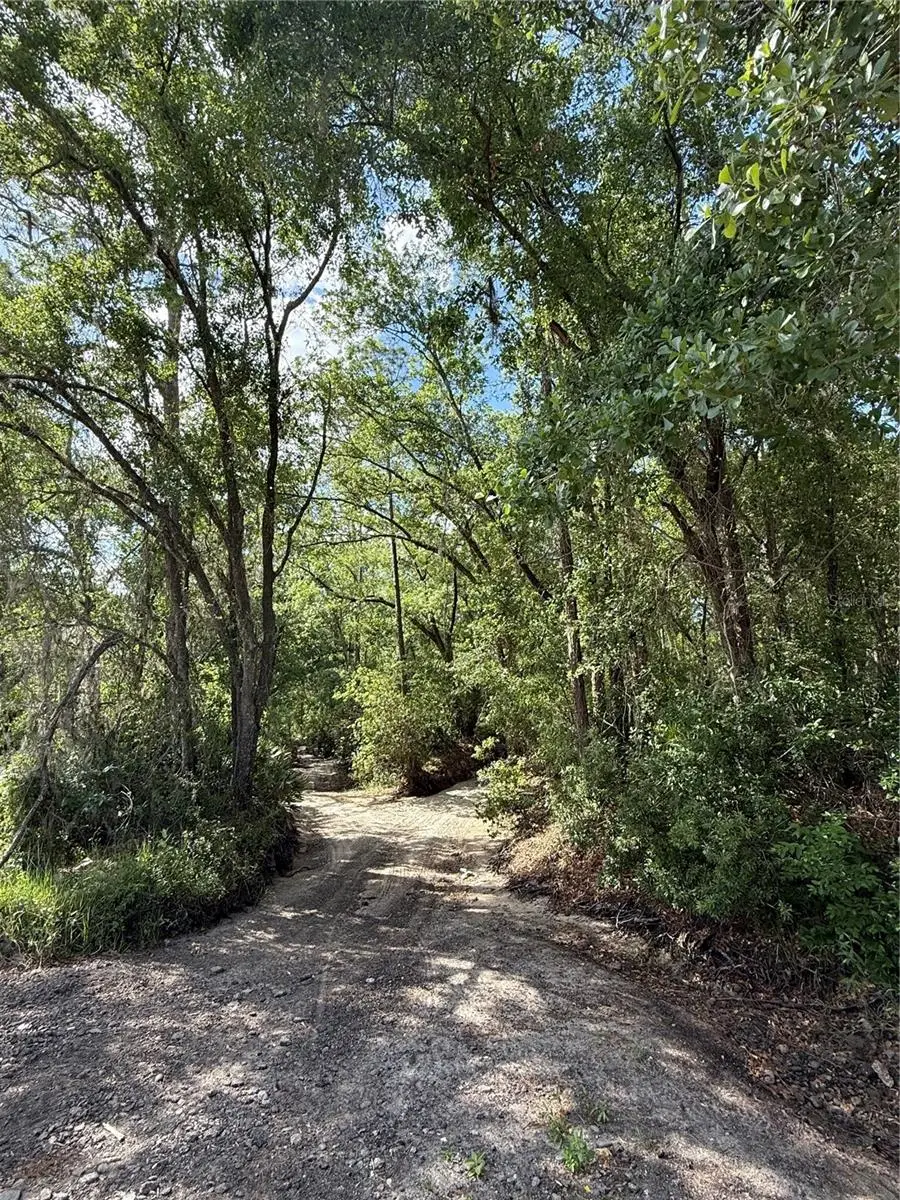 Creekwood Run, Lakeland, FL 33809 - #3