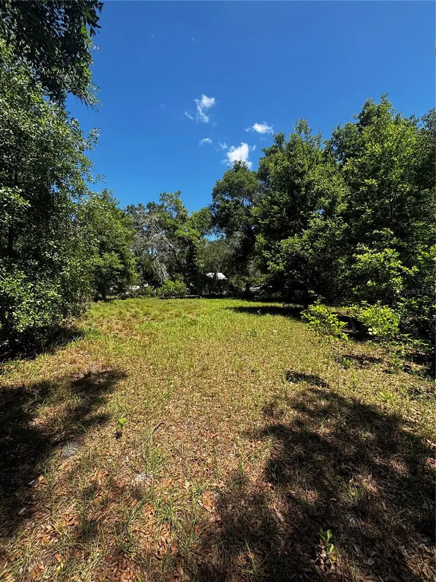 7027 Charles Humphrey Road, Plant City, FL 33565 - #3
