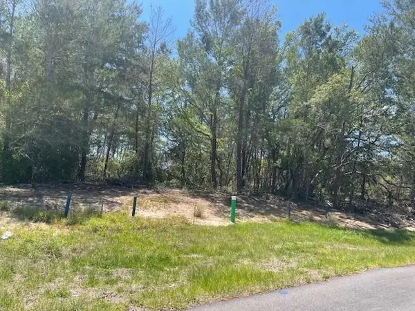 1342 Homosassa Drive, POINCIANA, FL 34759
