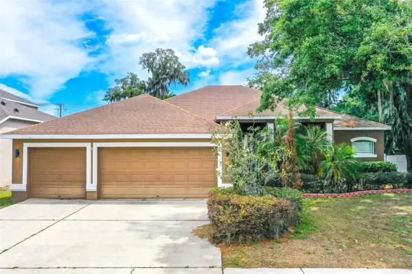 2539 Centennial Falcon Drive, VALRICO, FL 33596