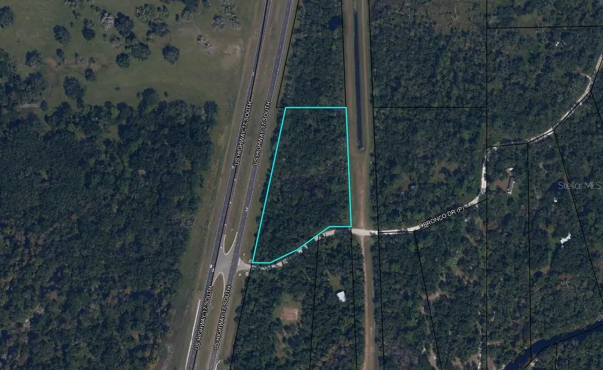 Bronco Drive, Zolfo Springs, FL 33890 - #1