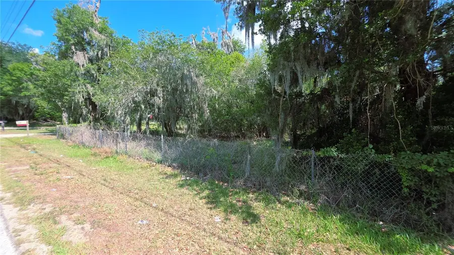 4505 Turner Road, Mulberry, FL 33860 - #3