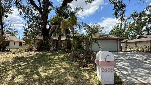 2898 Hammock Drive, PLANT CITY, FL 33566