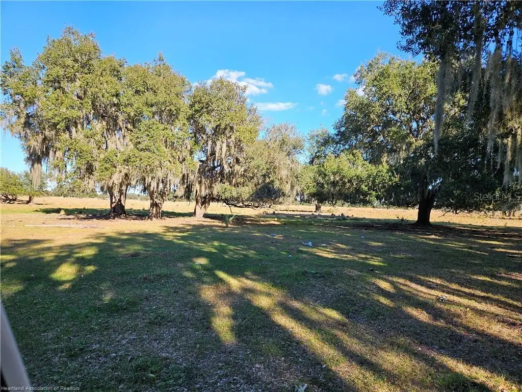 320 Grigsby Road, Venus, FL 33960 - #1