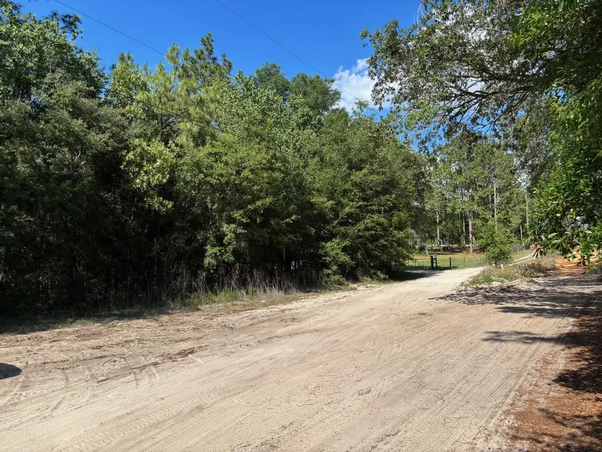 0B Sw 93rd Place, Dunnellon, FL 34432 - #1
