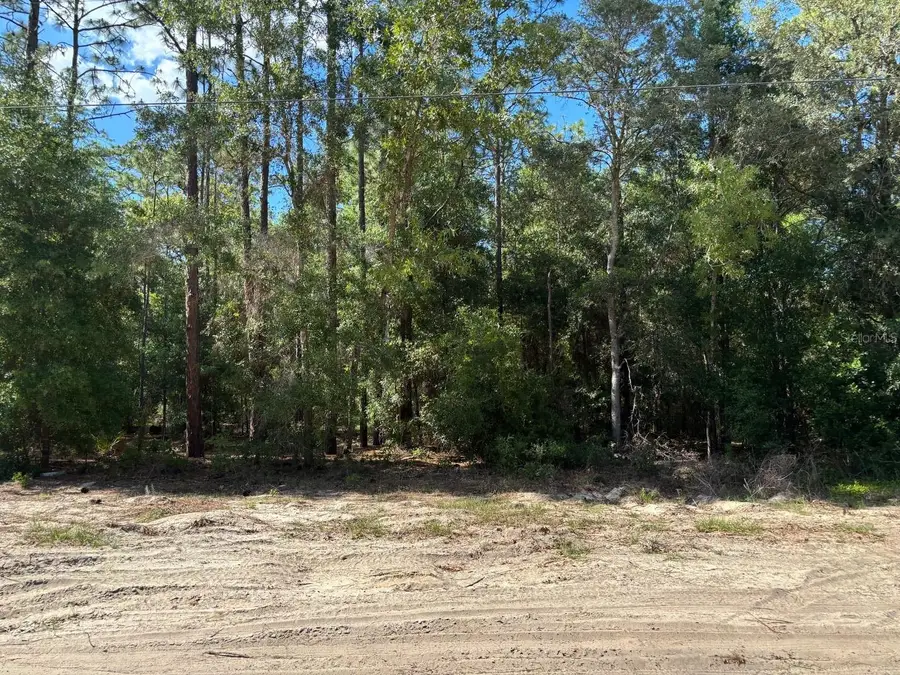 0B Sw 93rd Place, Dunnellon, FL 34432 - #2