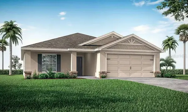 6051 Dropwort Drive, WIMAUMA, FL 33598