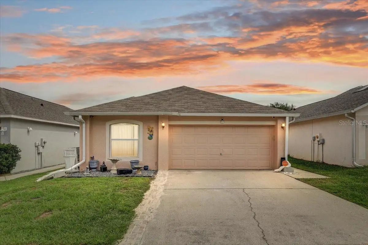 30257 Birdhouse Drive, Wesley Chapel, FL 33545 - #1