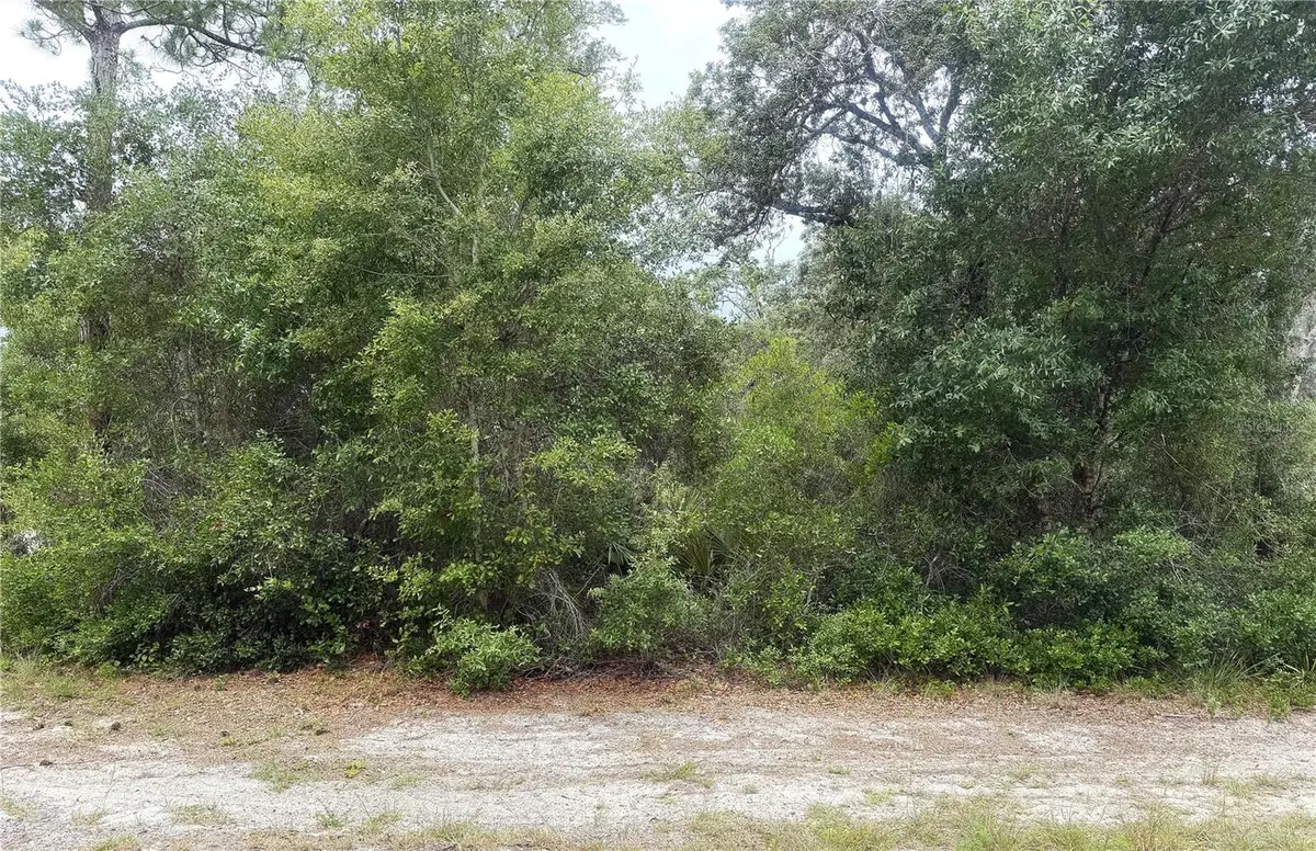 359 Coolidge Avenue Ne, Lake Placid, FL 33852 - #1