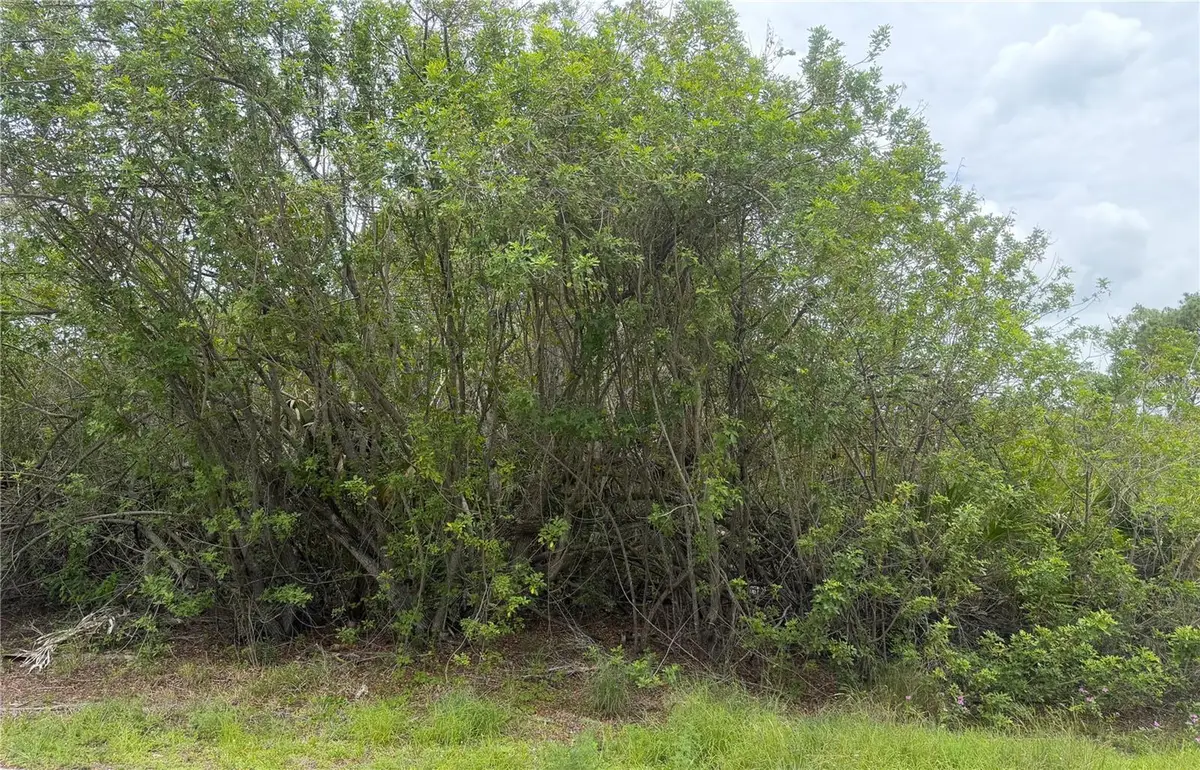 140 Fillmore Avenue, Lake Placid, FL 33852 - #1