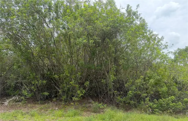140 Fillmore Avenue, LAKE PLACID, FL 33852