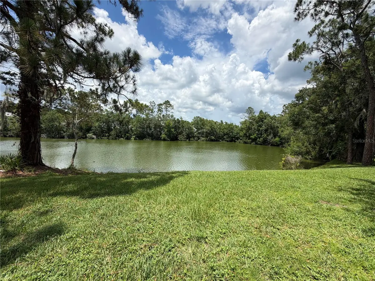 15637 Morning Drive, Lutz, FL 33559 - #1