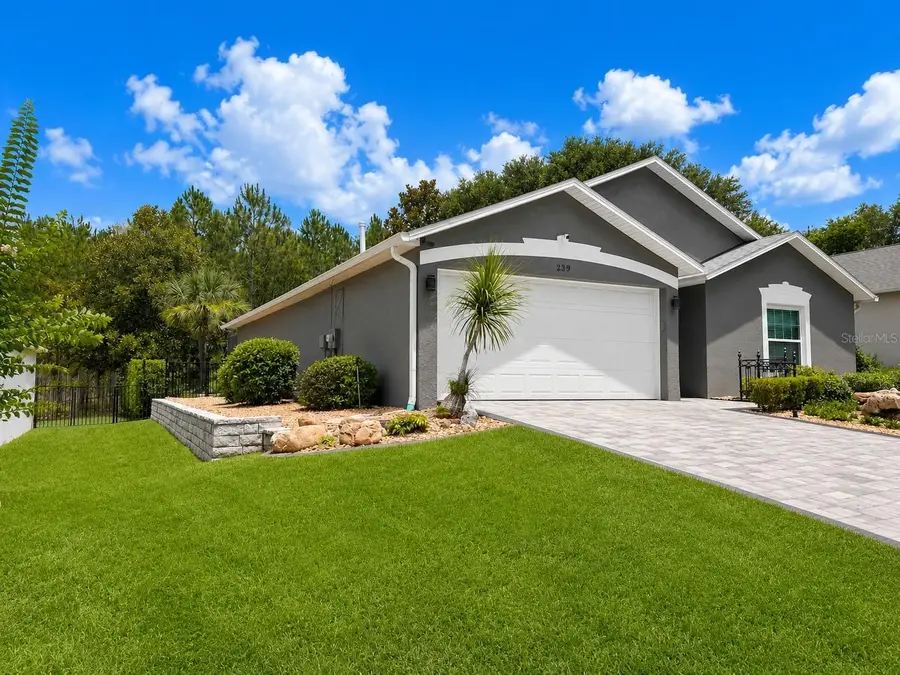 239 China Berry Circle, Davenport, FL 33837 - #2