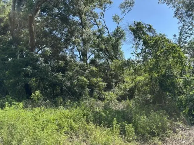 7157 Glory Road, Zephyrhills, FL 33540 - #3