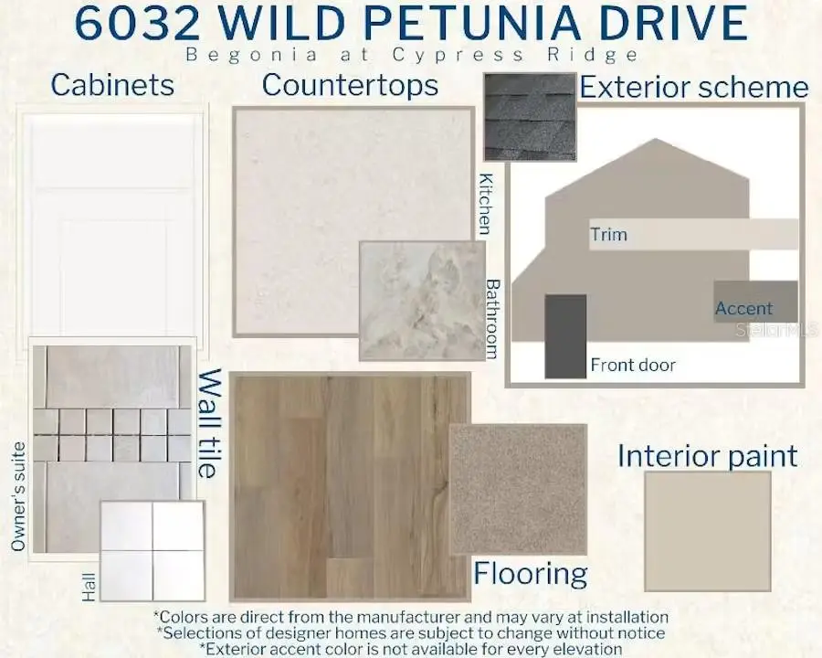 6032 Wild Petunia Drive, Wimauma, FL 33598 - #3