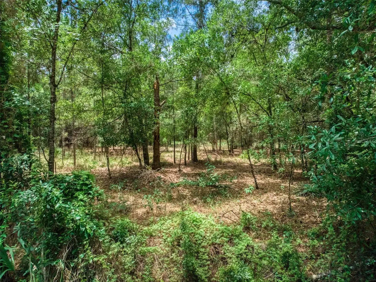 5101 Whippoorwill Road, Sebring, FL 33875 - #1