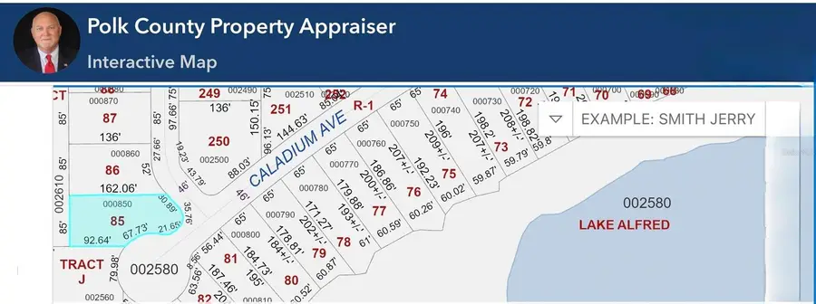 103 Blazing Star Avenue, Lake Alfred, FL 33850 - #3