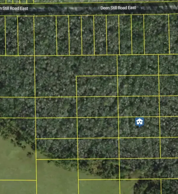 Deen Still Road E, POLK CITY, FL 33868
