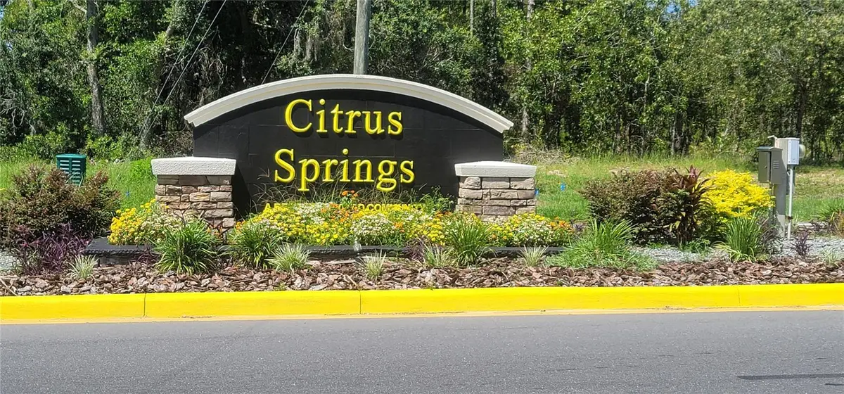 10339 N G Martinelli Boulevard, Citrus Springs, FL 34433 - #1