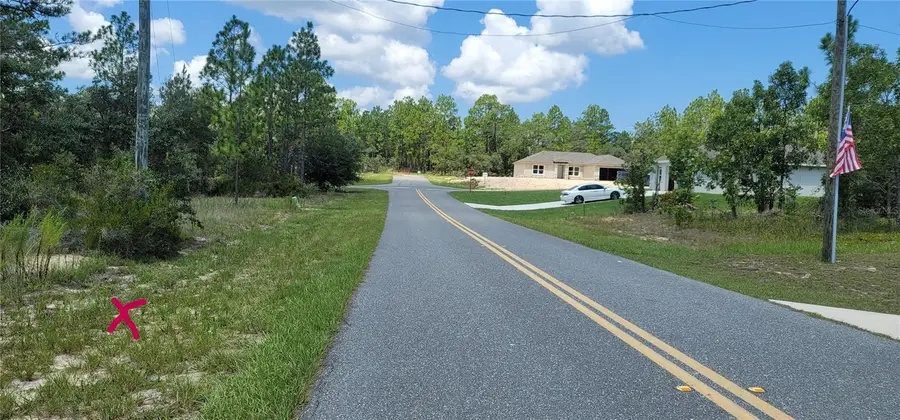10339 N G Martinelli Boulevard, Citrus Springs, FL 34433 - #2
