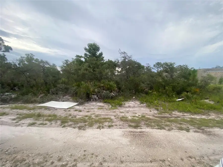 321 Brant Avenue, Sebring, FL 33870 - #3