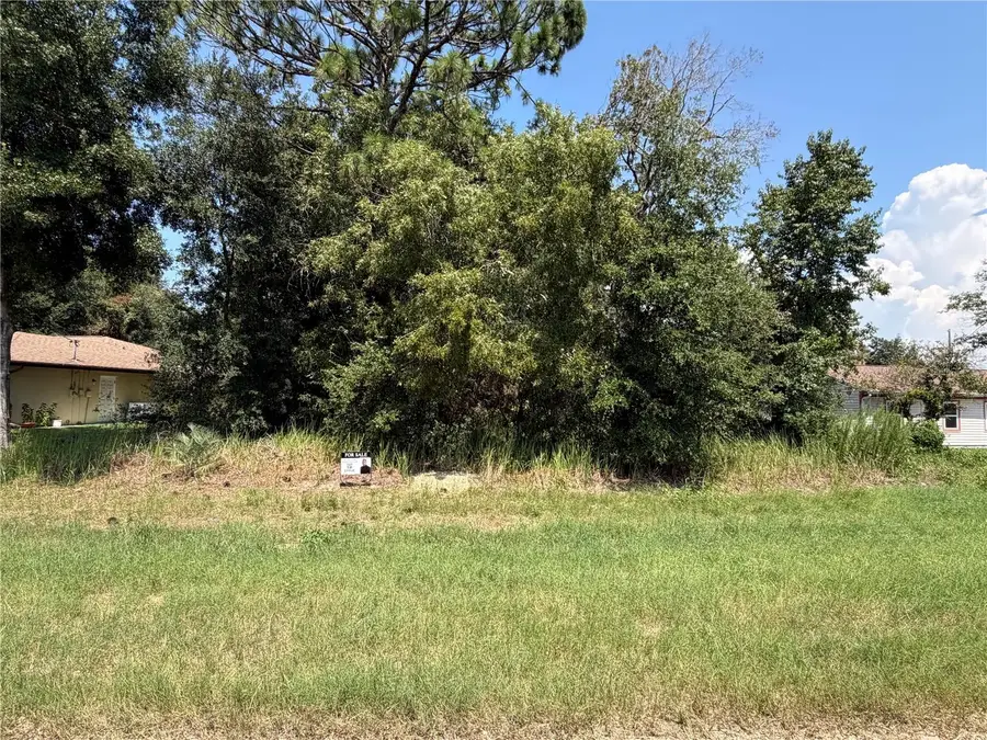 0 Spring Road, Ocala, FL 34472 - #3