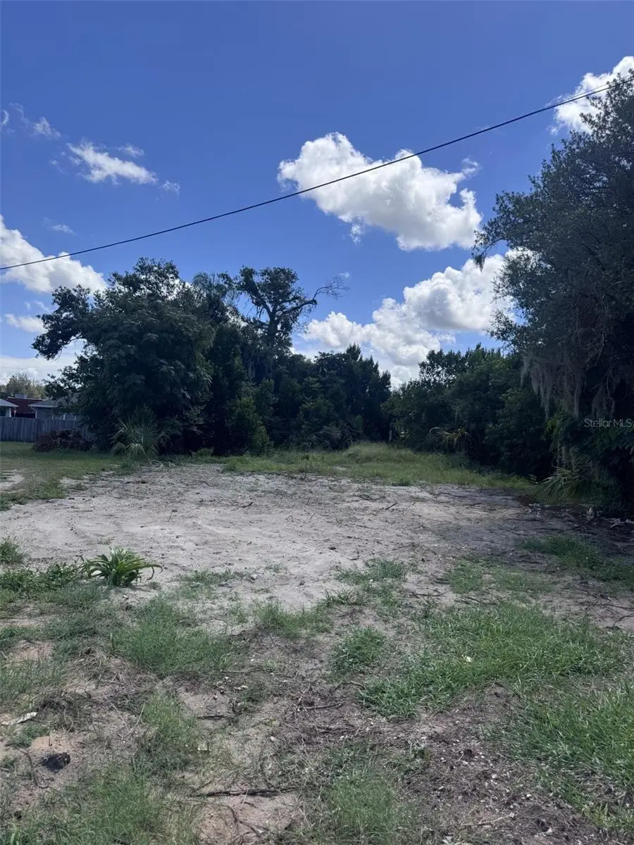 232 C Street, Lake Wales, FL 33853 - #1
