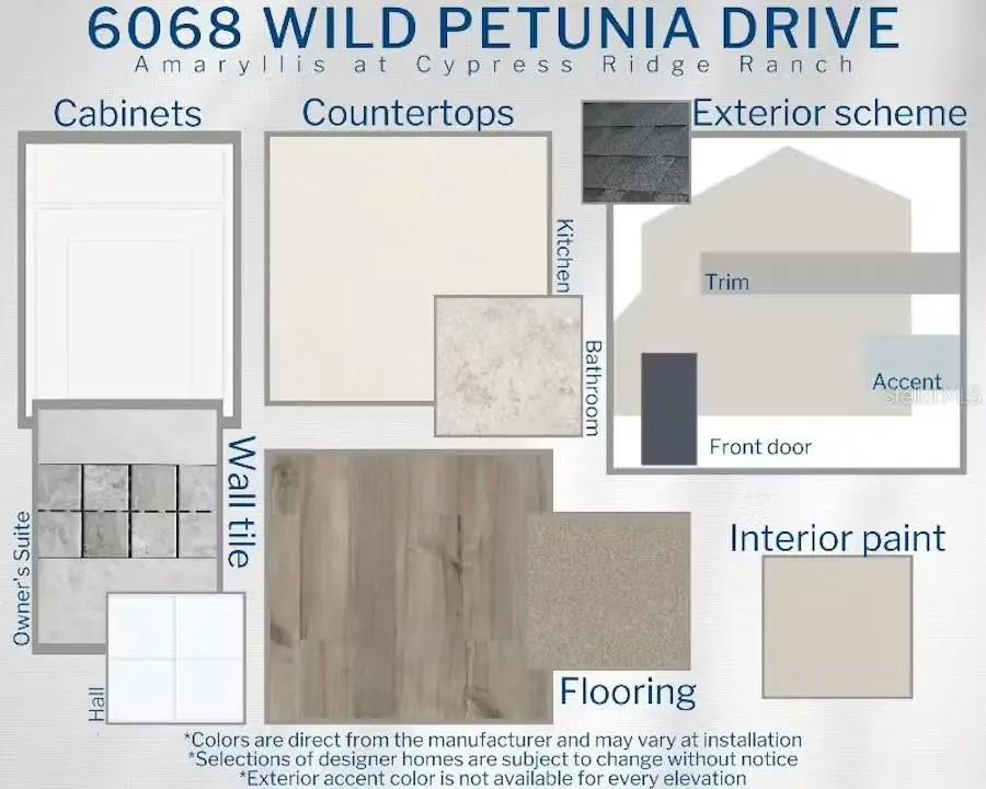 6068 Wild Petunia Drive, Wimauma, FL 33598 - #3
