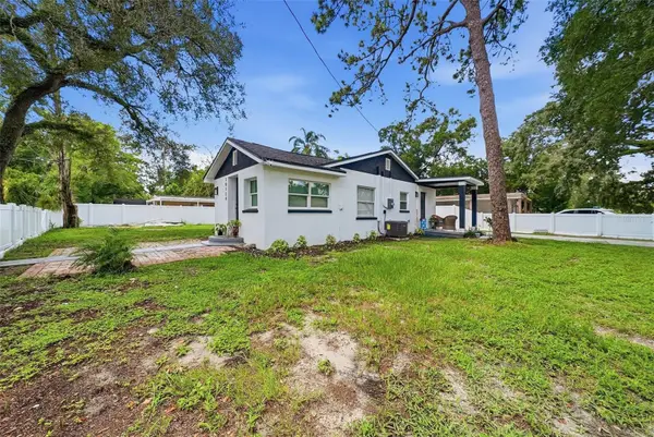 10124 N Hyacinth Avenue, TAMPA, FL 33612